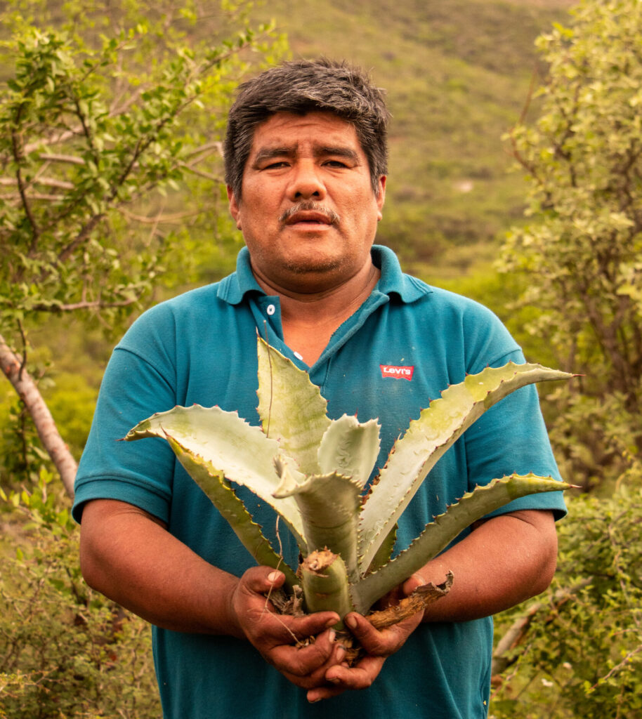 Felix Maceda, Maestro mezcalero, el legado de  Yuku Savi