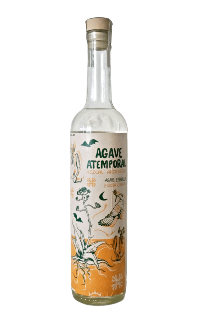 Mezcal agave atemporal