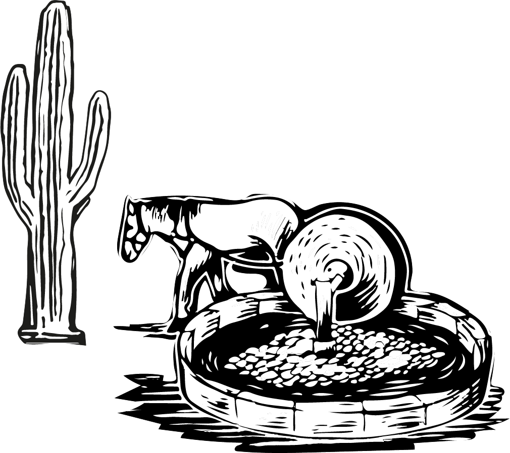 Proceso de mezcal